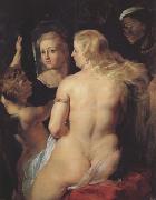 Peter Paul Rubens Venus at the Mirror (MK01) Norge oil painting reproduction